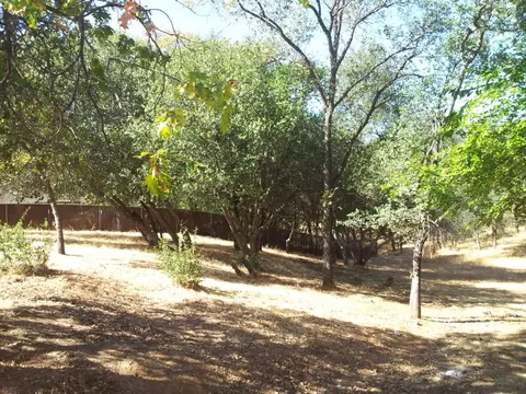 19778 Sweetwater Trl, Redding, CA 96003 photo 11