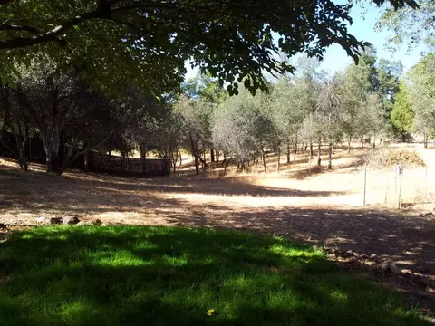 19778 Sweetwater Trl, Redding, CA 96003 photo 17