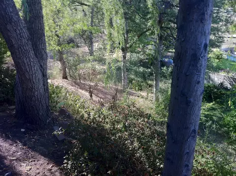 4558 Hardwood Blvd, Redding, CA 96003 photo 3