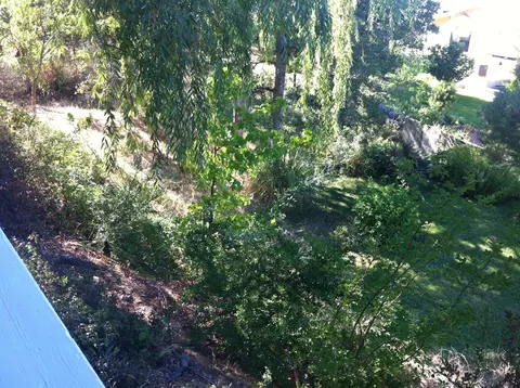 4558 Hardwood Blvd, Redding, CA 96003 photo 5