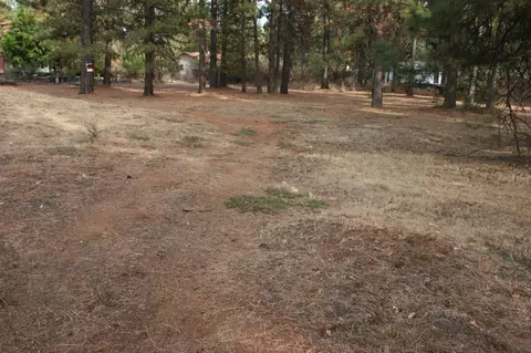 21722 N Vallejo St, Burney, CA 96013 photo 5