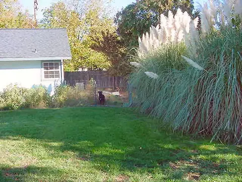 4928 Bidwell Rd, Redding, CA 96001 photo 23