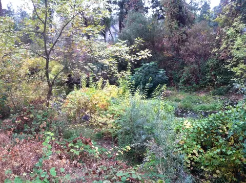 1750 Tiger Eye Rd, Redding, CA 96003 photo 3