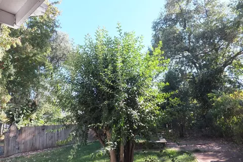 3256 E Bailey, Anderson, CA 96007 photo 11