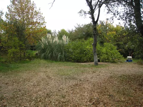 1738 Victor, Redding, CA 96002 photo 11