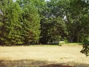 25422 Glenburn Rd, Fall River Mills, CA 96028 photo 6