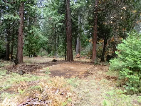7683 Pegnan Rd, Shingletown, CA 96088 photo 11
