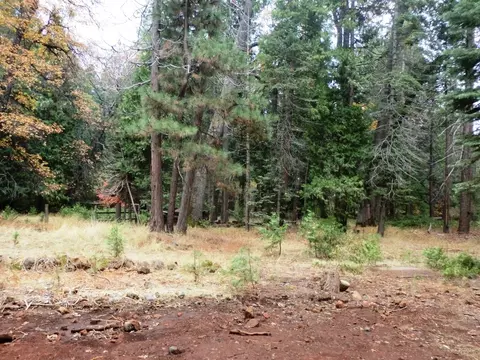 7683 Pegnan Rd, Shingletown, CA 96088 photo 10