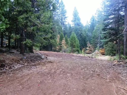 7683 Pegnan Rd, Shingletown, CA 96088 photo 5