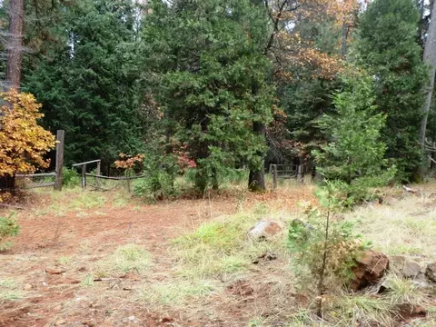7683 Pegnan Rd, Shingletown, CA 96088 photo 3