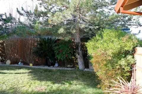 3743 Lake Forest Dr, Redding, CA 96003 photo 36