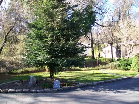 12054 Daut Rd, Redding, CA 96003 photo 22