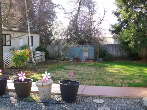 12054 Daut Rd, Redding, CA 96003 photo 24