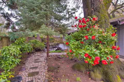 3047 Birch Way, Redding, CA 96002 photo 38