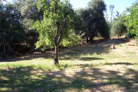 17779 Western Way, Redding, CA 96003 photo 6