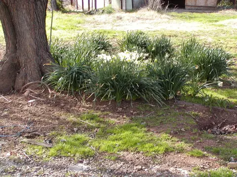 15035 Wonderland, Redding, CA 96003 photo 9