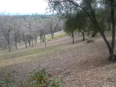 13371 Dry Crk, Redding, CA 96003 photo 5