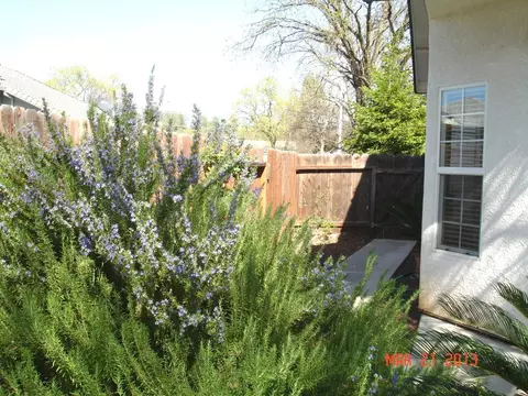5979 Beaumont Dr, Redding, CA 96003 photo 24