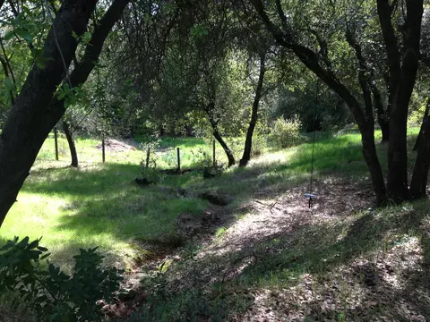 17771 Western Way, Redding, CA 96003 photo 30