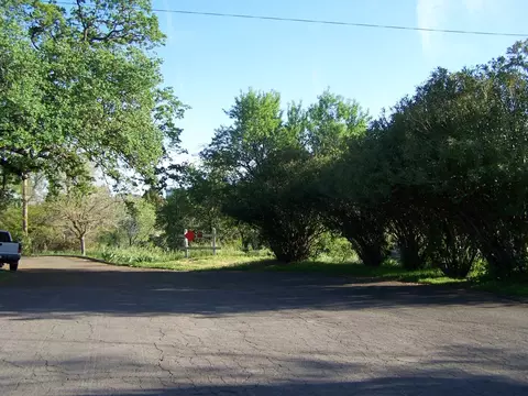 2125 Chestnut St, Redding, CA 96001 photo 24