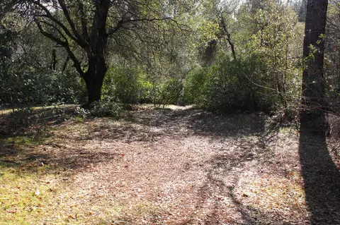 17684 Petty Ln, Redding, CA 96003 photo 20