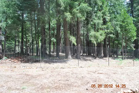 34599 Westward Ho Rd, Shingletown, CA 96088 photo 12