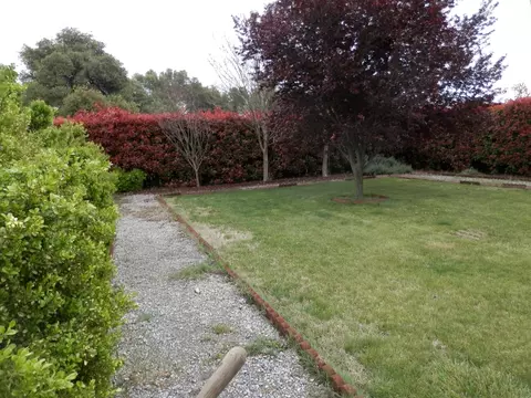 20259 Blue Jay Dr, Redding, CA 96002 photo 19