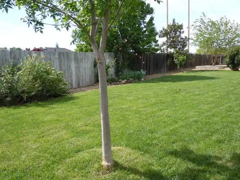 3887 Wolverine, Redding, CA 96001 photo 54