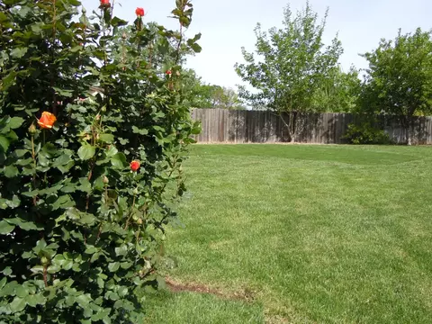 3887 Wolverine, Redding, CA 96001 photo 51