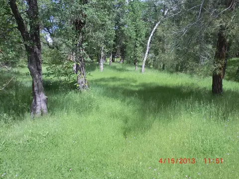 19893 Welbula, Redding, CA 96003 photo 3