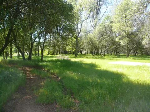 6748 Digger Pine Ln, Anderson, CA 96007 photo 13