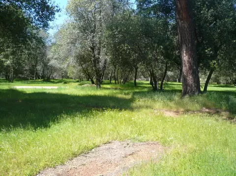 6748 Digger Pine Ln, Anderson, CA 96007 photo 12