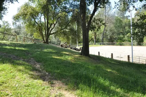 8024 Macie Cir, Redding, CA 96001 photo 32