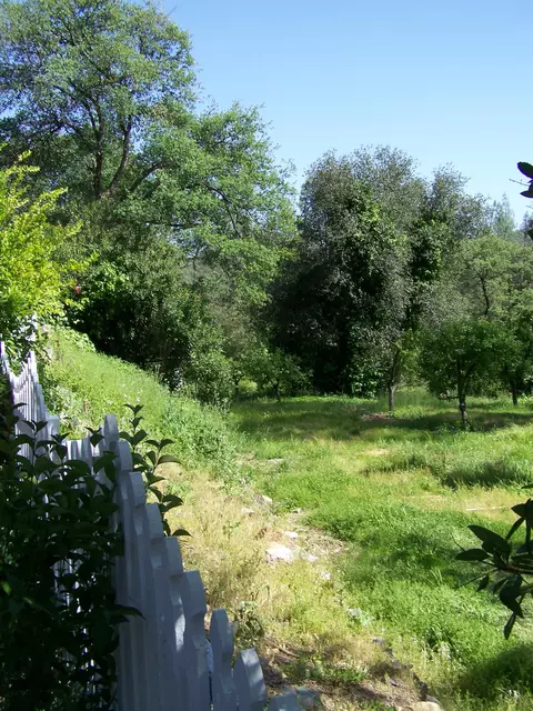 10185 Victoria Dr, Redding, CA 96001 photo 26
