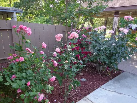 3472 Somerset Ave, Redding, CA 96002 photo 14