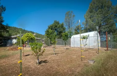 15270 Mountain Shadows Dr, Redding, CA 96001 photo 28