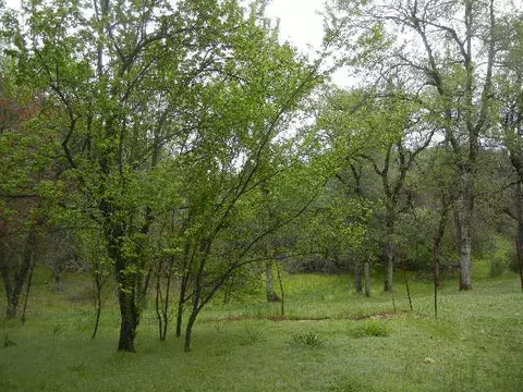 16127 Cagle Ln, Redding, CA 96001 photo 14
