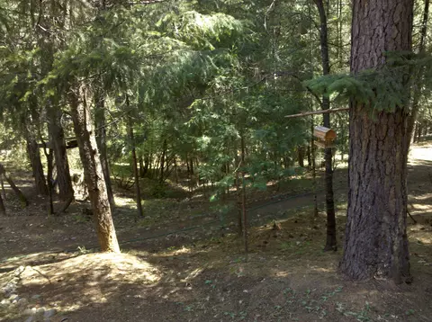 141 Trinity Lake Dr, Trinity Center, CA 96091 photo 8