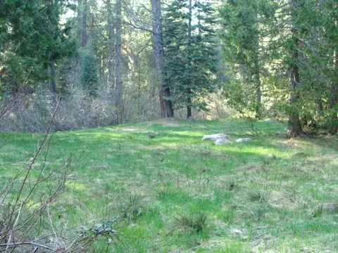2901 Spring Creek Rd, Mccloud, CA 96057 photo 21