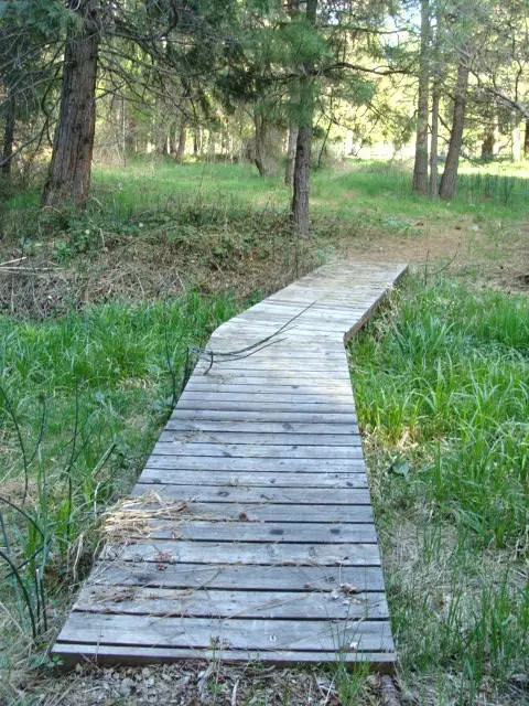 2901 Spring Creek Rd, Mccloud, CA 96057 photo 24