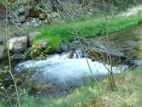 2901 Spring Creek Rd, Mccloud, CA 96057 photo 22