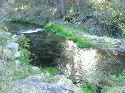2901 Spring Creek Rd, Mccloud, CA 96057 photo 23