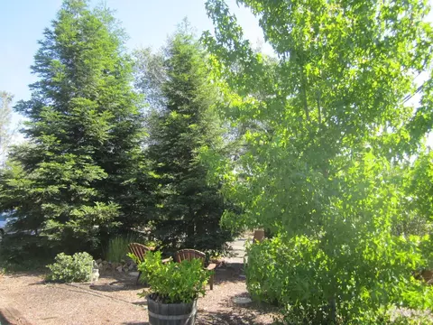 14199 Bear Mountain Rd, Redding, CA 96003 photo 36