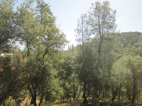 14199 Bear Mountain Rd, Redding, CA 96003 photo 8