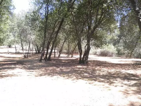 15658 Ranchland, Redding, CA 96001 photo 41