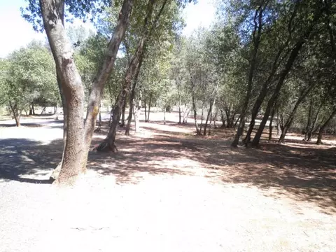 15658 Ranchland, Redding, CA 96001 photo 42