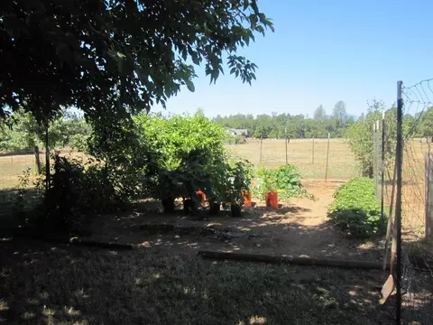 11396 Sara Dr, Redding, CA 96003 photo 26