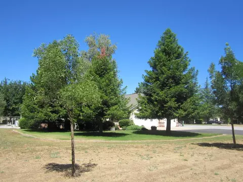 11396 Sara Dr, Redding, CA 96003 photo 19