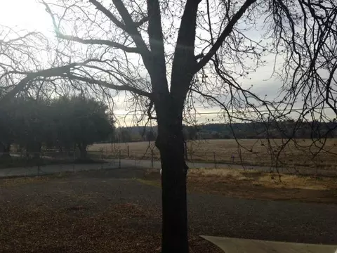 15950 W Wallen, Red Bluff, CA 96080 photo 5