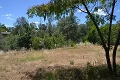 819 August, Redding, CA 96003 photo 18